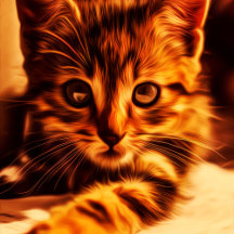 "Teeny Tigger" Kitty Collection