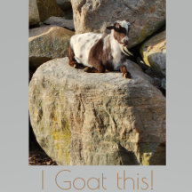 Pickleball ... "I GOAT THIS!"