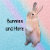Bunnies_and_More