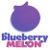 Blueberry Melon