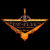 DrflyeMerchStore