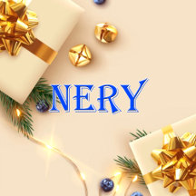 Nery_Name T-Shirt