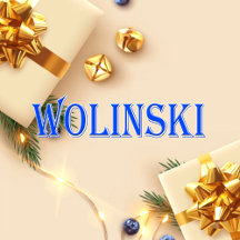 Wolinski_Name T-Shirt