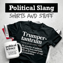 POLITICAL SLANG