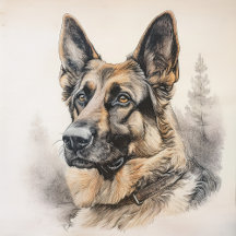 Faithful Friends – Shepherds, Sheepdogs & Collies