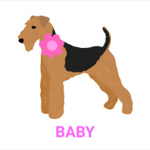 Airedale Terrier BABY
