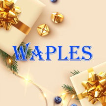Waples_Name T-Shirt