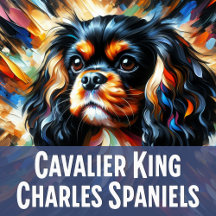 Cavalier King Charles Spaniel: CKCS Collection