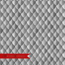 Feather Dragon Scale Armor Silver Monogram