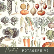Adolphe Millot Vintage Vegetable Pattern v2