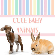 Cute Baby Animals Watercolor