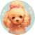 PoodleBear22
