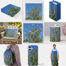 Tall Ash Tree In The Beautiful Blue Sky Photo