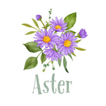 Aster Wedding Invitations