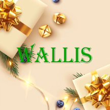Wallis Name Shirt Wallis_collection