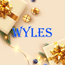 Wyles_Name T-Shirt