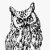 Silent Owl
