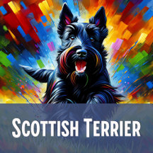 Scottish Terrier: Art Gift Collection