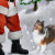 Dog Lovers Christmas Cards, Ornaments