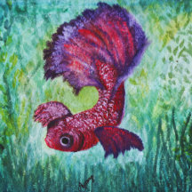 watercolor ocean art betta fish
