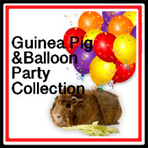 Ginger Guinea Pig and Balloons Child's Birthday