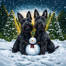Scottish Terriers and Winter Snowman