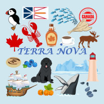 Newfoundland Love