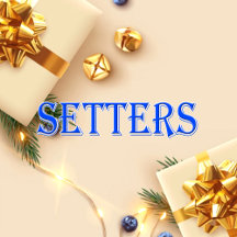 Setters_Name T-Shirt