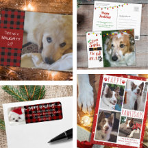 Dog Owner Christmas Holiday Greeting Cards