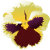 Anna_AIT