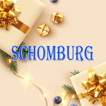 Schomburg_Name T-Shirt