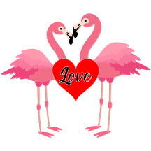 Pink Flamingo Love Design