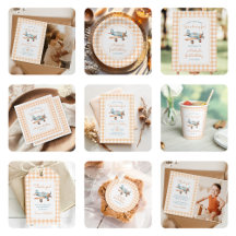 Gingham Airplane Boy Birthday