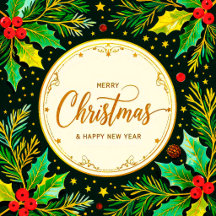 Here is Your Christmas Gift !