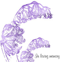 Bluebell Celebration of Life