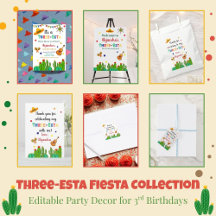 Three-esta Fiesta 3rd Birthday Party Set
