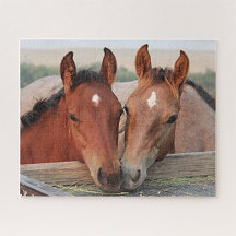 Horse Puzzles