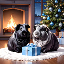 Guinea Pigs With Christmas Gift