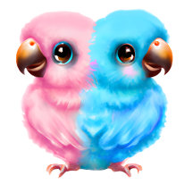 Baby Parrot Twins or Gender Reveal Collection