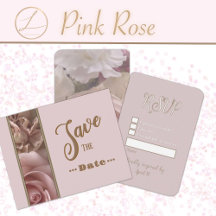 Pale Pink Rose Greeting Cards