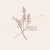 Timeless Occasions Co