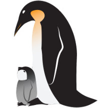 Father's Day Emperor Penguin and Chick