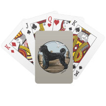 PWD PLAYING CARDS