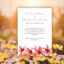 Pink Plumeria Hawaiian Wedding and Events
