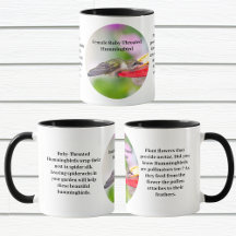 Hummingbird designs with fun facts 