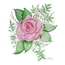Floral: Pink Rose