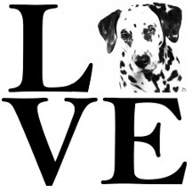 Dalmatian Love