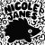Nicole Janes