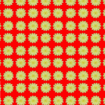 Flowers and Patterns