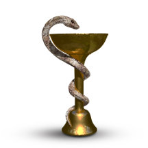 Bronze Medical Snake Bowl Hygieia White Caduceus